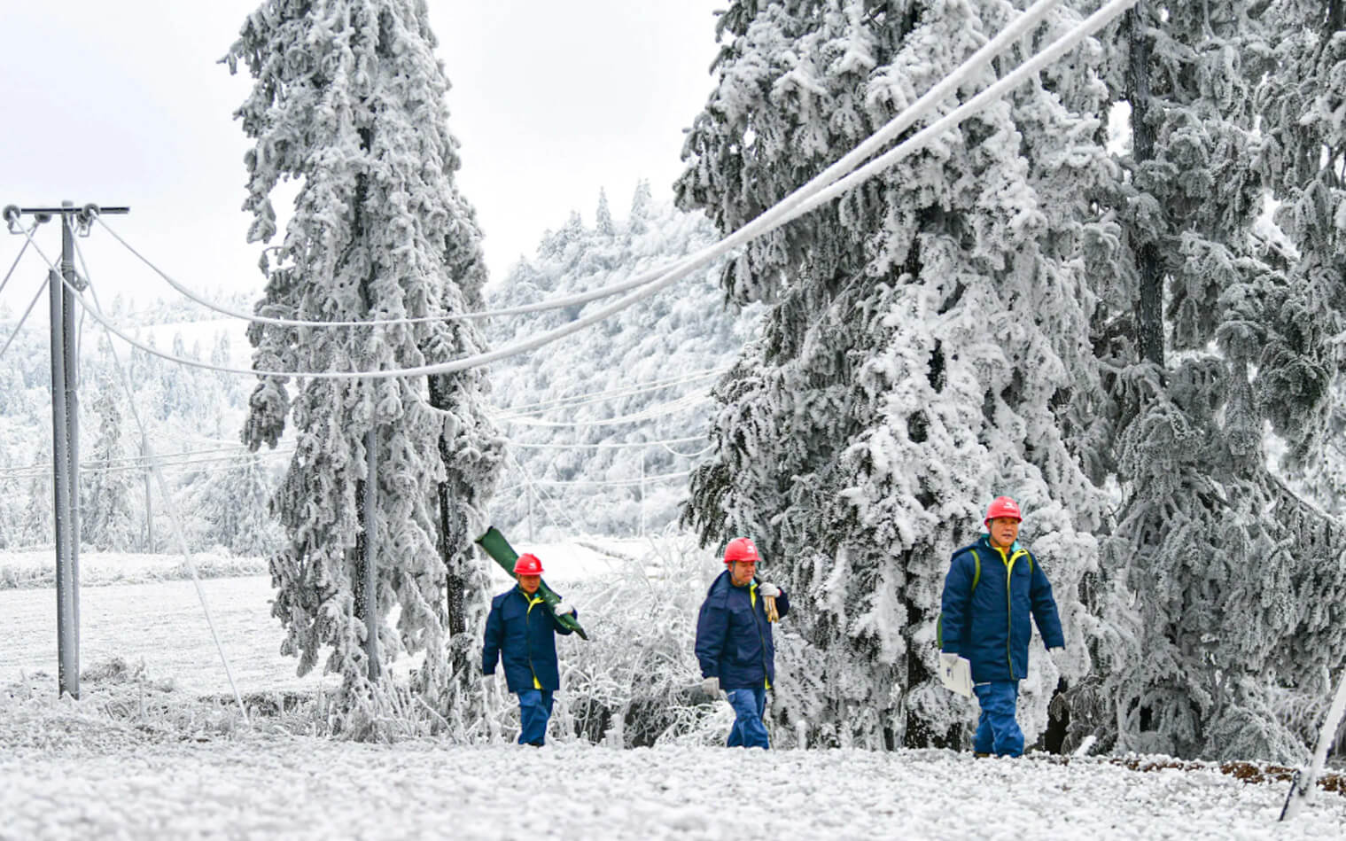 Assisting Hunan Province with Anti-Ice Disaster Relief Project