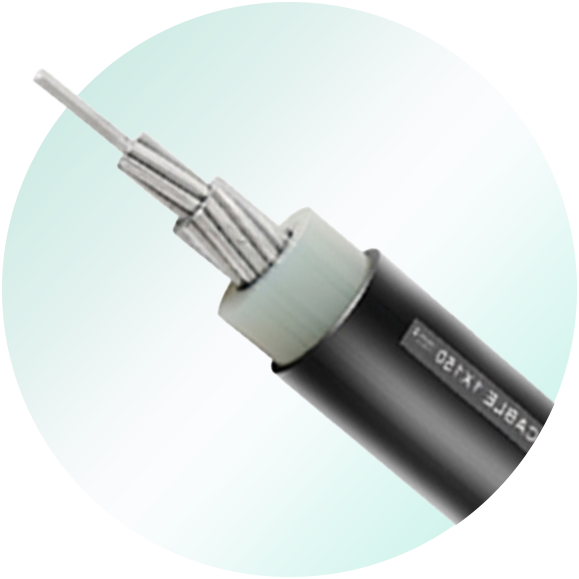 SAC Cable(ICEA)