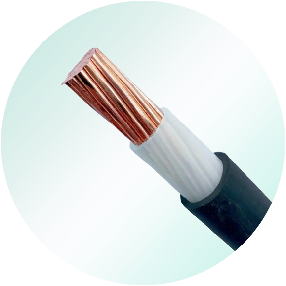 N2XY (YJV) CU/XLPE/PVC CABLE 0.6/1kV
