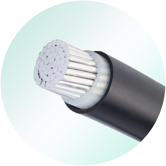 NA2XY (YJLV) AL/XLPE/PVC Cable 0.6/1kV